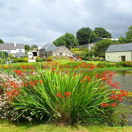 Bed and Breakfast Polhilsa Farm Callington Esterno foto