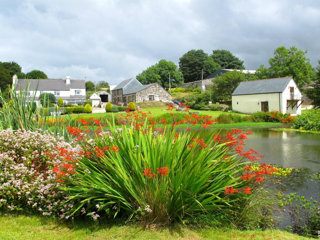 Bed and Breakfast Polhilsa Farm Callington Esterno foto