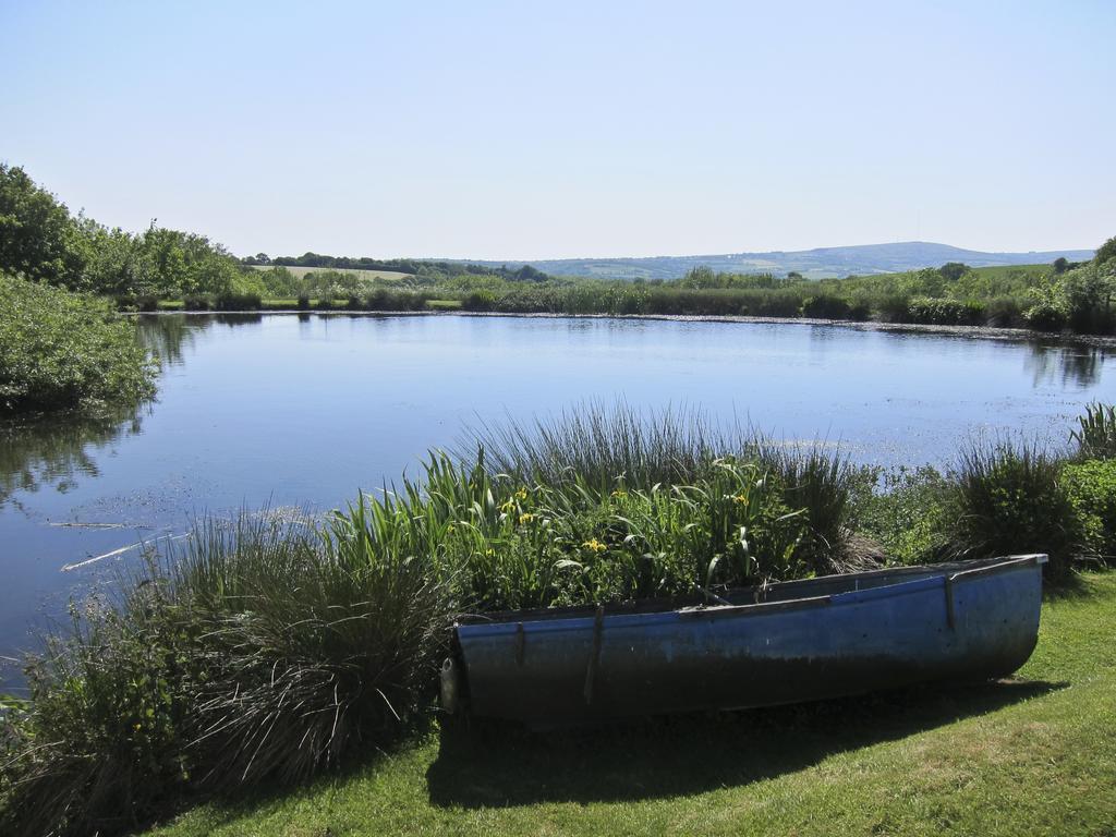 Bed and Breakfast Polhilsa Farm Callington Esterno foto