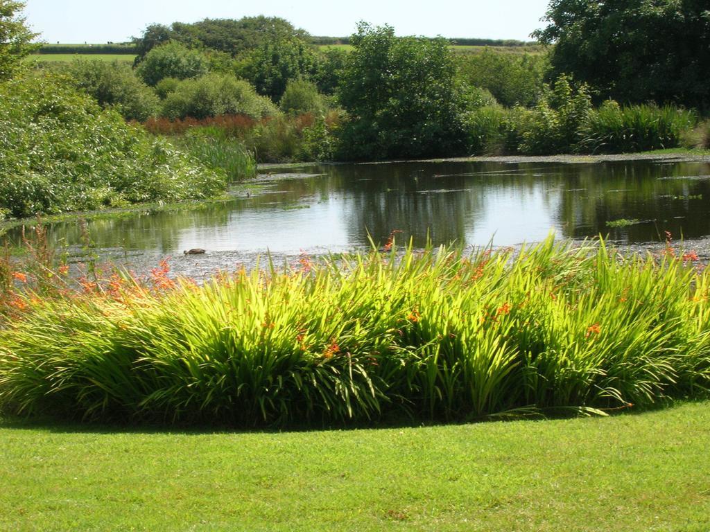 Bed and Breakfast Polhilsa Farm Callington Esterno foto